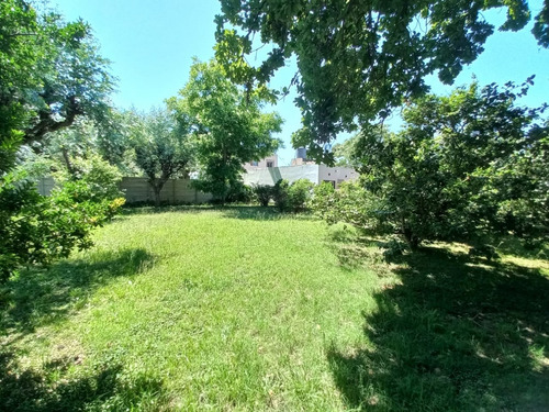 Venta Lote En Chelito Tortuguitas