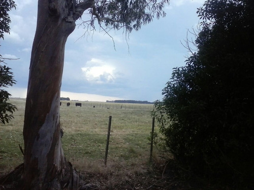 Imagen 8 de 30 de Campo Mixto En San Cayetano