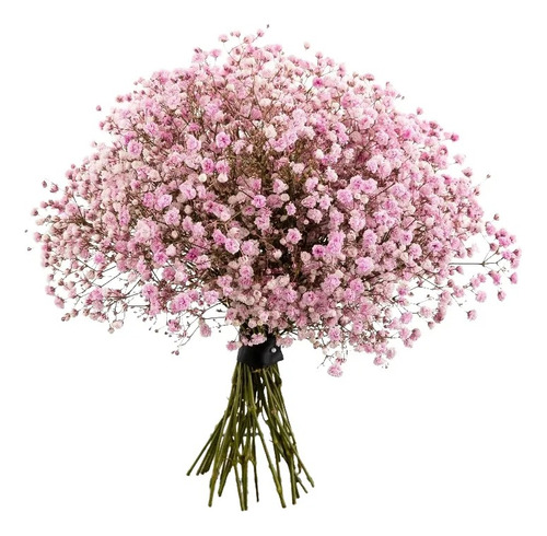 Semillas De Nube Rosa Para Sembrar - Bolsa De 100 Gramos
