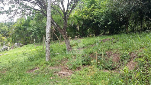 Imagem 28 de 28 de Casa A Venda No Bairro Vargem Pequena Em Florianópolis - - 1669-1