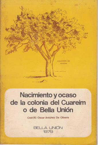 Bella Union Nacimiento Y Ocaso De Colonia Del Cuareim 1979