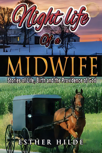 Nightlife Of A Midwife : Stories Of Life, Birth And The Providence Of God, De Esther Hilde. Editorial Createspace Independent Publishing Platform, Tapa Blanda En Inglés