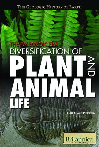 The Paleozoic Era Diversification Of Plant And Animal Life (