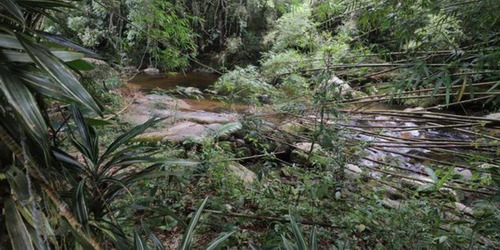 Chácara - Em Pedro De Toledo-sp, Sua Melhor Opção - Ref 585