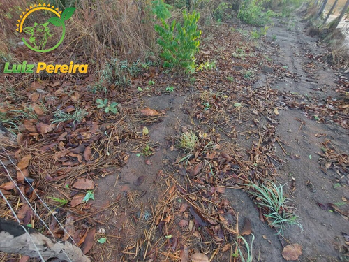 Imagem 8 de 12 de Fazenda À Venda Em Abreulândia - 696,96 Hectares (dupla Aptidão) - 2023