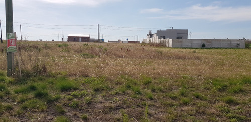 Imagen 4 de 7 de Terreno Lote En Venta Tierra Alta Colonia Ensayo Entre Rios