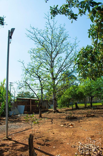 Imagem 6 de 20 de Chácara À Venda Em Bosque Dos Eucaliptos - Ch009129