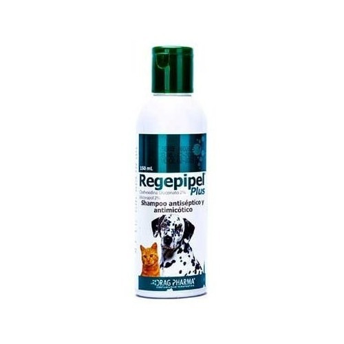 Regepipel Shampoo Perro Gato Antiséptico Y Antimicótico