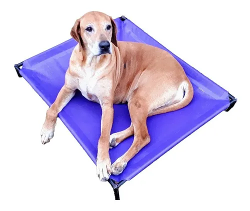 Catres para mascotas cheap