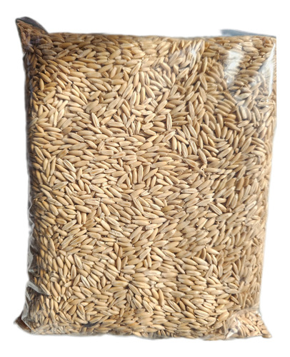 Avena Orgánica 500 Gramos