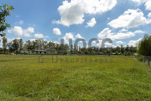 Lote 1000 M2 El Tropezón