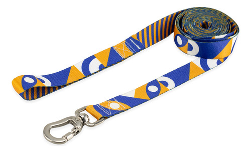 Coleira Guia 10 Metros Para Cães Cachorro Adestramento Passeio Tamanho M Porte Médio Basic Pet Moss