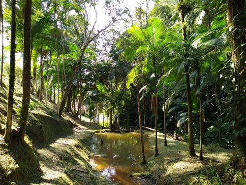 Imagem 12 de 30 de Sítio Ideal Para Lazer E Moradia Á Apenas 700 Metros Da Rodovia, Com Belíssima Casa Sede Em Juquitiba/sp! - 05 - 33845423