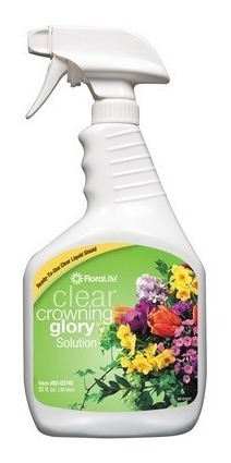 Imagen 1 de 1 de Floralife® Crowning Glory Clear 32 Oz Spray