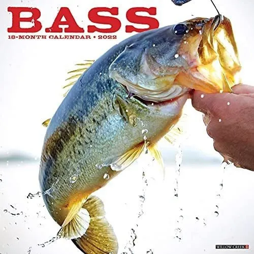 Bass Fishing 2022 Wall Calendar Willow Creek Press, De Willow Creek