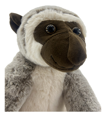 Peluche Macaco Realista Sr.coati Totem Animal Espiritual