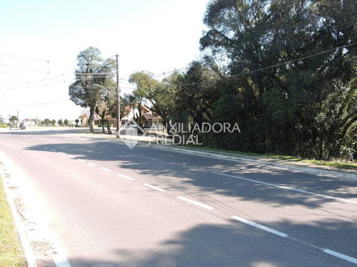 Imagem 3 de 13 de Terreno - Sao Jose - Ref: 262128 - V-262128