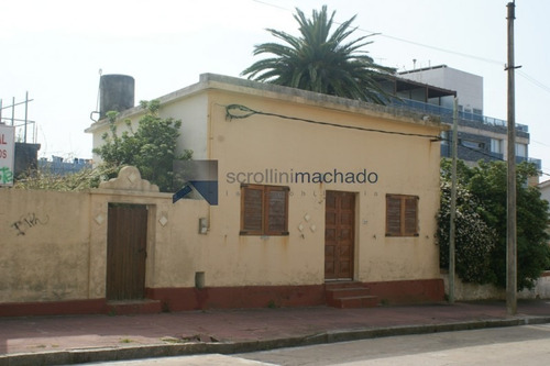 Imagen 1 de 11 de Terreno En Venta Penísnula -ref:1019