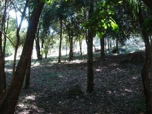 Imagem 3 de 6 de Terreno-para-venda-em-parque-jatibaia-(sousas)-campinas-sp - Te2132