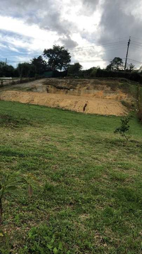 Lotes En El Carmen Via Pavimentada Sector Canadá 420 Millones