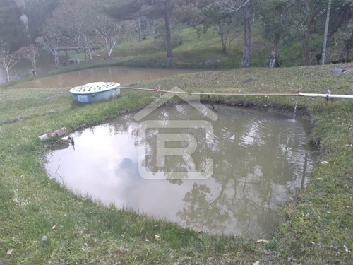 Imagem 25 de 30 de Itio Ideal Para O Seu Lazer Tendo 3 Lagos Piscosos Com Peixe, 02 Nascentes Próprias, Pomar, Horta. - 77 - 70066608