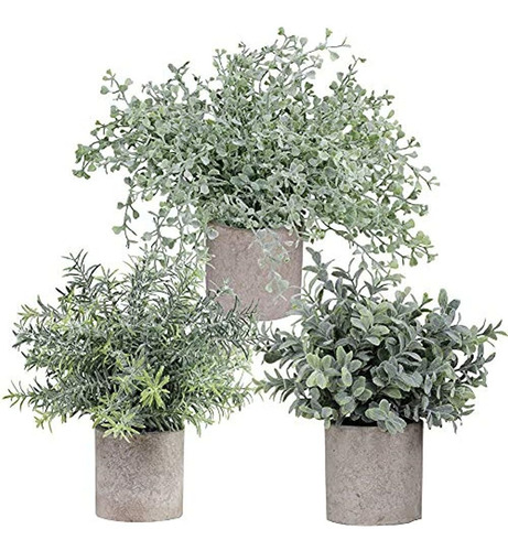 Winlyn Mini Plantas En Macetas De Eucalipto Flocado Artifici