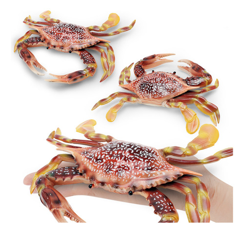 Modelo Simulado De Cangrejo De Animal Marino, Estilo C Para