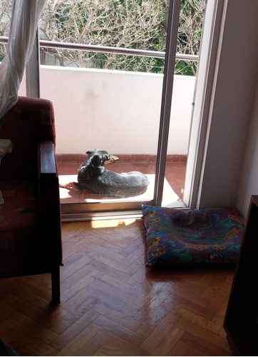 Imagen 4 de 5 de Guardería Canina El Cane !!!