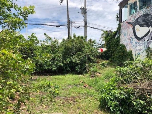 Imagem 12 de 14 de Terreno De 1521m² Em Frente A Lagoa Da Conceição - Te0745