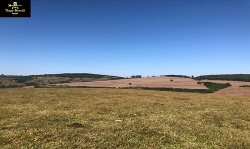 Imagem 4 de 19 de Excelente Fazenda Á Venda Com Ótima Localização Sarutaiá-piraju - Fa00036 - 68204645