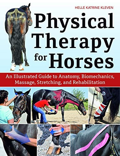 Physical Therapy For Horses An Illustrated Guide To Anatomy,