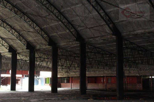 Imagem 3 de 10 de Terreno Para Alugar, 20000 M² Por R$ 110.000,00/mês - Jardim Aricanduva - São Paulo/sp - Te0317