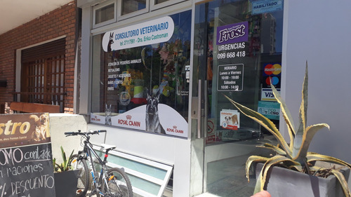 Venta Local Comercial Con Renta Punta Carretas