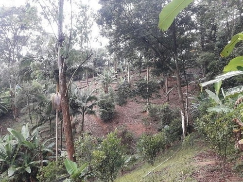 Imagem 4 de 15 de Chácara Para Venda - 9425