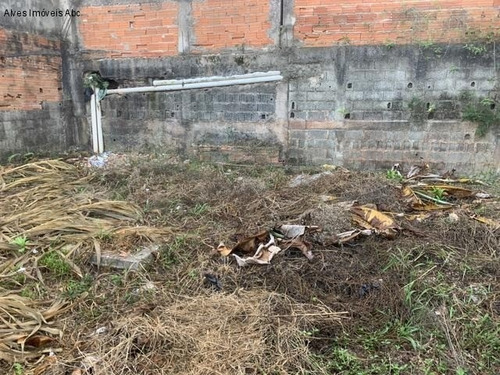 Imagem 3 de 5 de Vendo Casa Térrea Com 2 Quartos, Sala, Cozinha, Banheiro, Lavanderia, Quintal. - Ca00063 - 68156913
