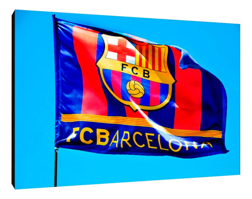 Cuadros Poster Deportes Futbol Barcelona M 20x29 (fcb (1))
