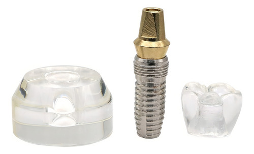 Modelo Dental Para Implantes - Estudio Y Enseñanza #2020 01