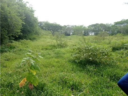 Vendo Lotes En La Pintada Con Vista A Farallones Desde 2.703 M²