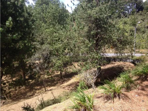 Lote En Venta En Envigado