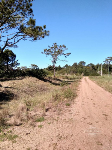 Terreno - Punta Del Diablo