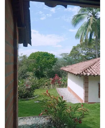 Venta Finca La Pintada 48750 M²