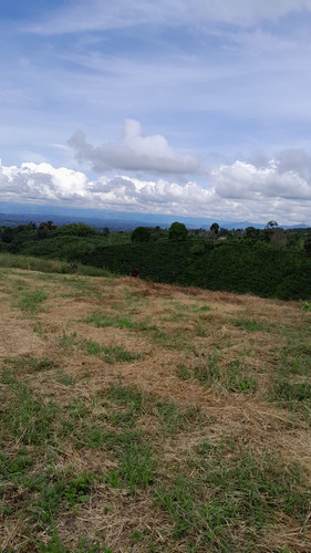 Venta - Permuta Finca Independiente Alcala