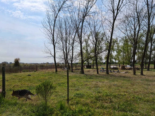 Imagen 12 de 12 de Campo En Venta Sobre Acceso Oeste