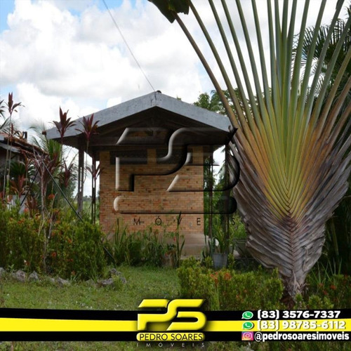 Imagem 6 de 8 de Granja À Venda, 40000 M² Por R$ 1.000.000 - Zona Rural - Conde/pb - Ch0007