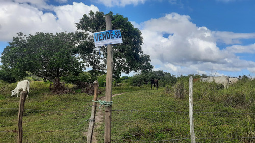 Terreno 10.000 M2 ( Aproximadamente), Sítio Carnaúba - Pedro Régis/pb