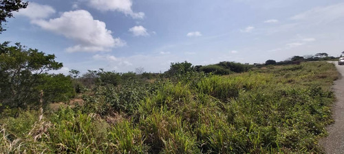 Imagen 1 de 7 de Terreno Vacacional En Venta En Tucacas Morrocoy Inm-024