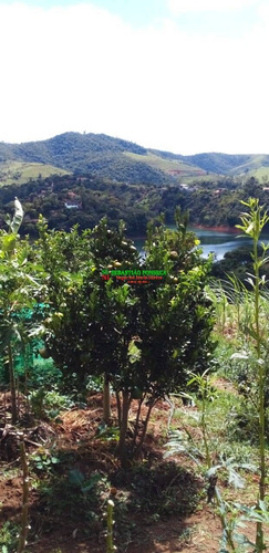 Imagem 11 de 15 de Chácara Fundo Para A Represa Na Zona Norte- Sjc - 2387