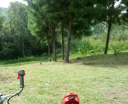 Imagem 6 de 12 de Terreno Agriculturável. Possui Um Posso Semi Artesiano