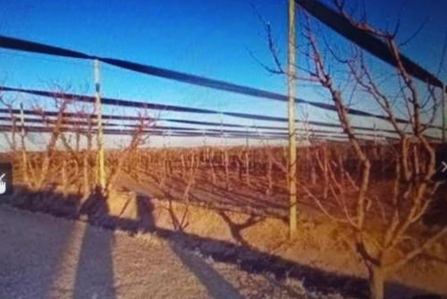 Tfinca Con Produccion De Vid