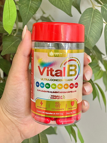 Suplemento VitalB Vitamina Natural Complexo B Metilcobalamina Concentrado Completo B1 B2 B3 B5 B6 B7 B9 B12 60 Cápsulas 1000mg Sabor Natural